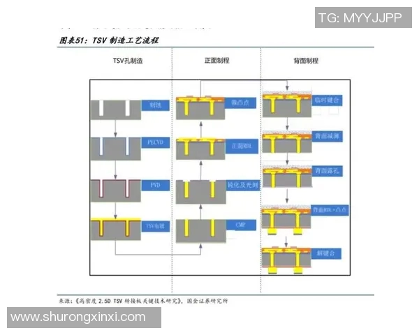 广州排球队实力对比深度解析与未来发展趋势探讨