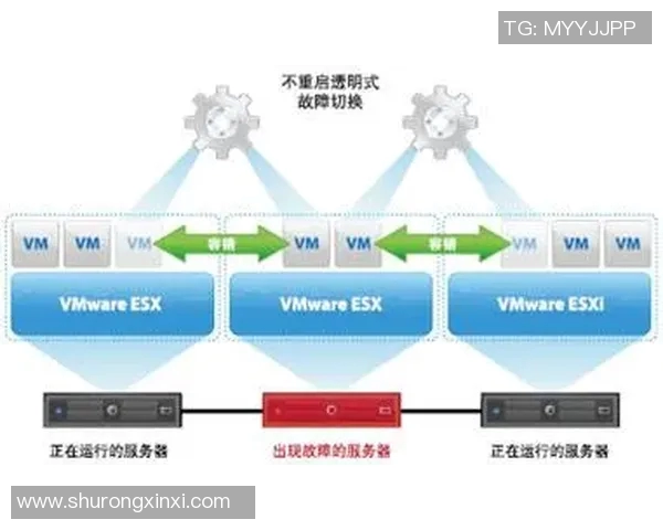 成都极限运动队灵活性表现的数据分析与提升策略探讨