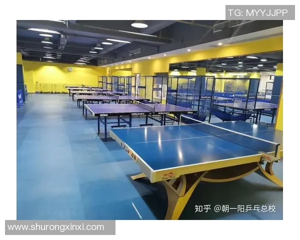 重庆乒乓球队实力分析与表现评估的综合研究报告